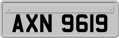 AXN9619