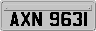 AXN9631