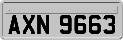 AXN9663