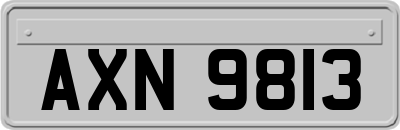 AXN9813