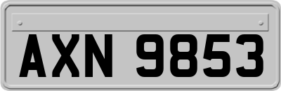 AXN9853
