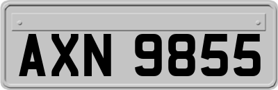 AXN9855