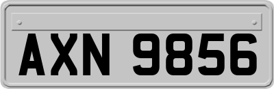 AXN9856