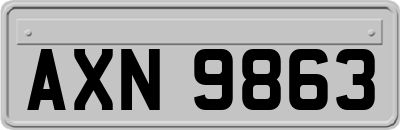 AXN9863