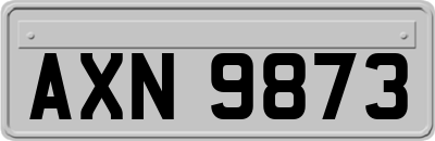 AXN9873