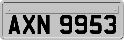 AXN9953