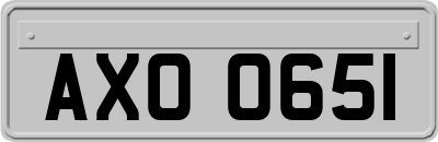 AXO0651