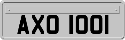 AXO1001