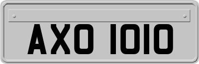 AXO1010