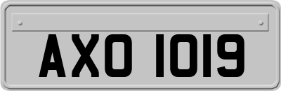 AXO1019
