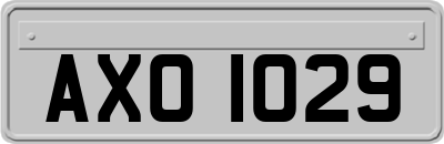 AXO1029