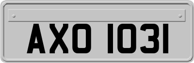 AXO1031