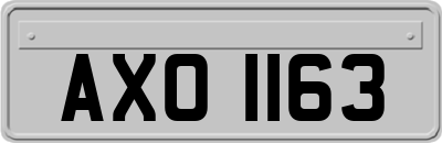 AXO1163