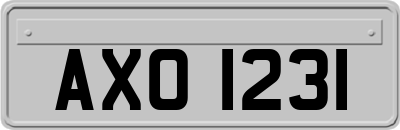AXO1231