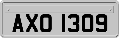 AXO1309