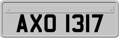 AXO1317