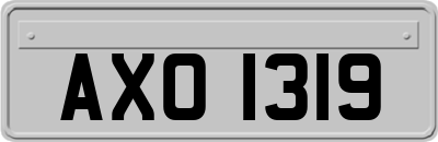 AXO1319