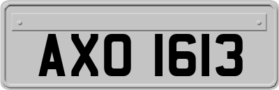 AXO1613