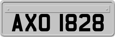 AXO1828