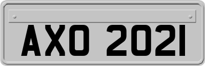 AXO2021