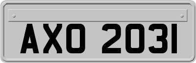 AXO2031