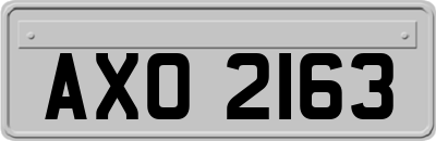 AXO2163