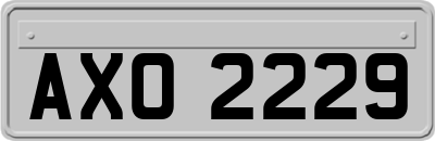 AXO2229