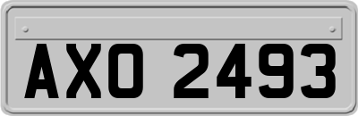 AXO2493