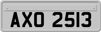 AXO2513
