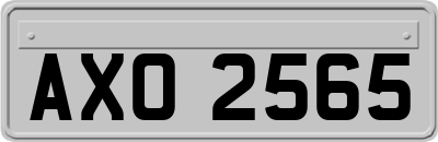 AXO2565