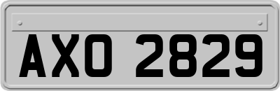 AXO2829