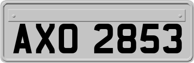 AXO2853