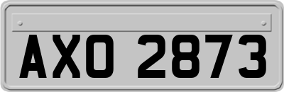 AXO2873