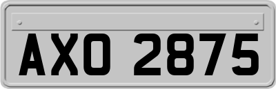AXO2875