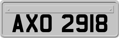 AXO2918