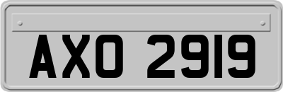 AXO2919