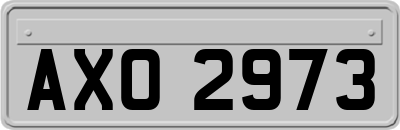 AXO2973