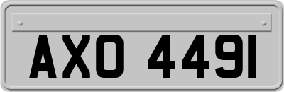 AXO4491
