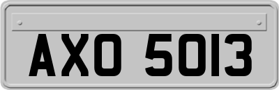 AXO5013