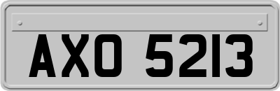 AXO5213