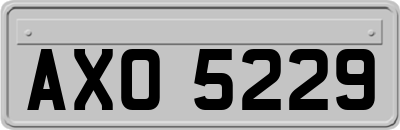 AXO5229