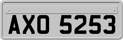 AXO5253
