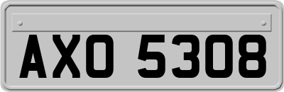 AXO5308