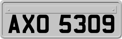 AXO5309