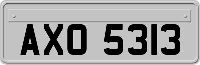 AXO5313
