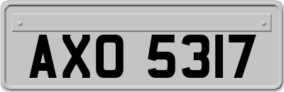 AXO5317