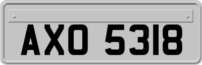 AXO5318