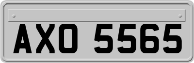 AXO5565