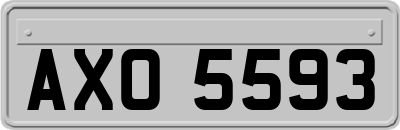 AXO5593