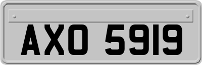 AXO5919
